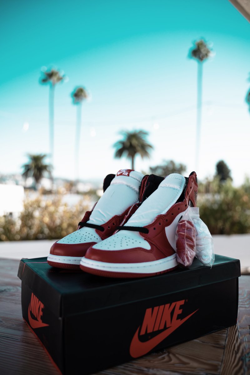 Jordan Retro Chicago (2015) La Familia – La