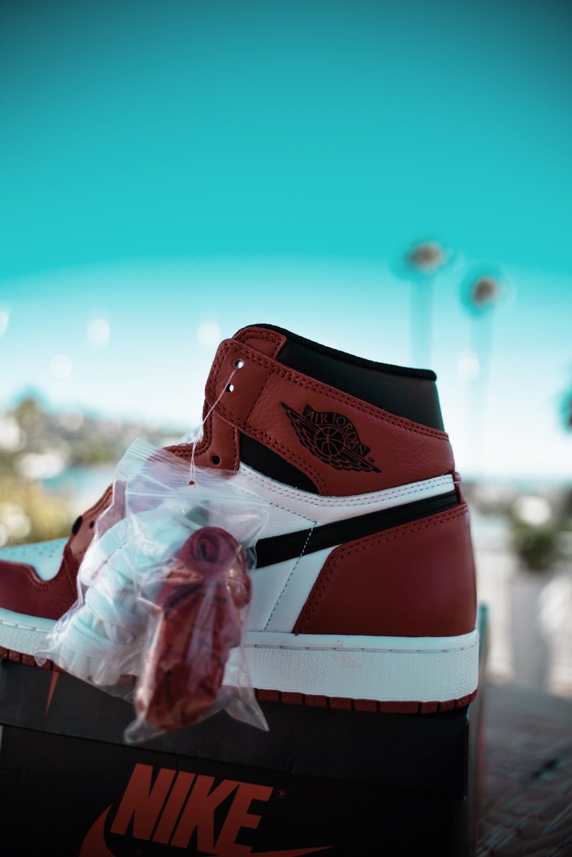 Jordan 1 Retro Chicago (2015) - La Familia Street Culture - Air Jordan - Jordan 1 Retro Chicago (2015) - La Familia Street Culture - Air Jordan - Chicago - Jordans