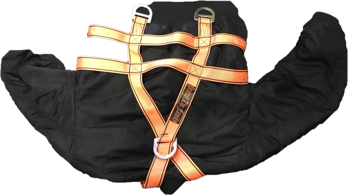 Protect The Family x Alpha Industries bomber with the Spider Webb harness, back with the Protect.The.Family label